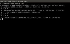 How to Find The Location Of Your Servers with Traceroute and WHOIS 