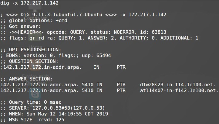 dig reverse dns lookup