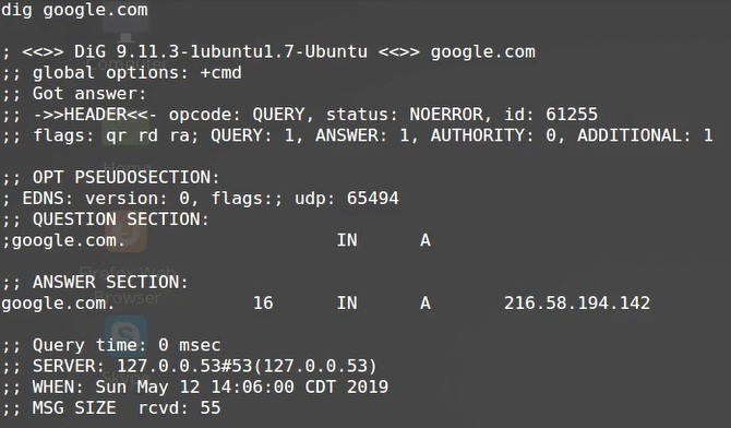 dig command example