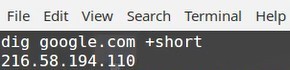 dig command short