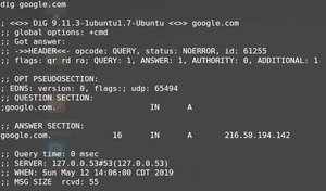 Linux dig command, how to install it and use it