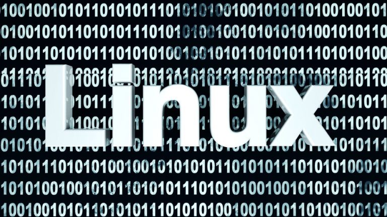 Linux host command
