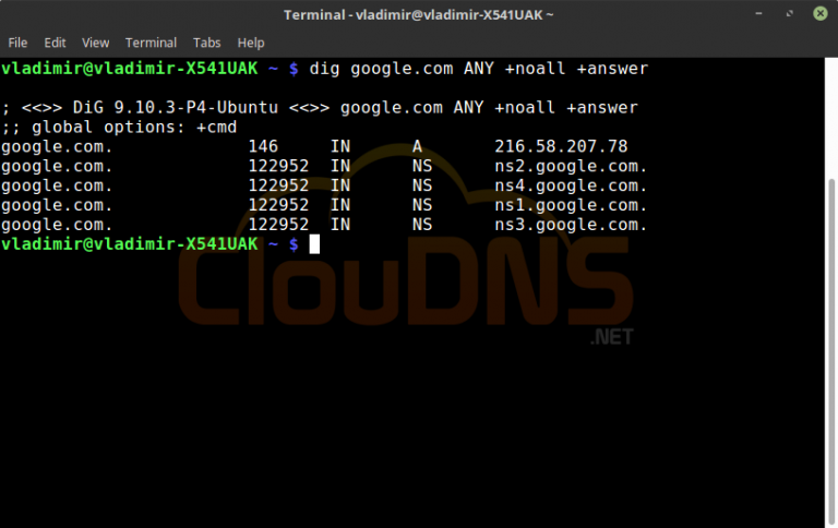 Linux dig command, how to install it and use it - ClouDNS Blog