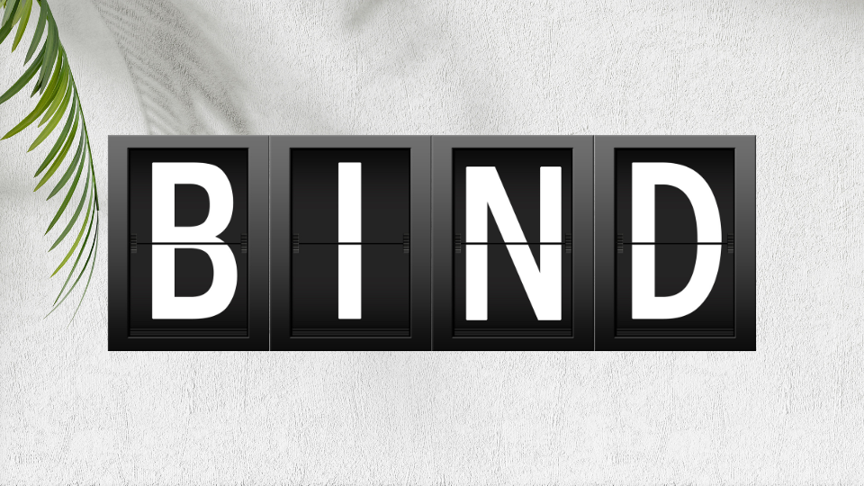 BIND Explained: A Powerful Tool for DNS Management ClouDNS Blog BIND Explained: A Powerful Tool for DNS Management ClouDNS Blog